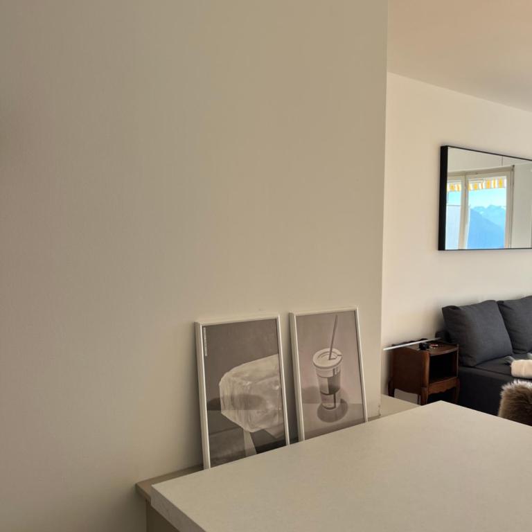 Pine Perch - 5 Min to Ski Pistes, Central Leysin, Mountain View - One-Bedroom Apartment with Balcony and Mountain View - 12