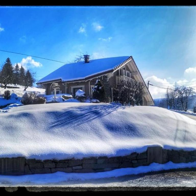 Chalet Le Roncing - Chalet - 11