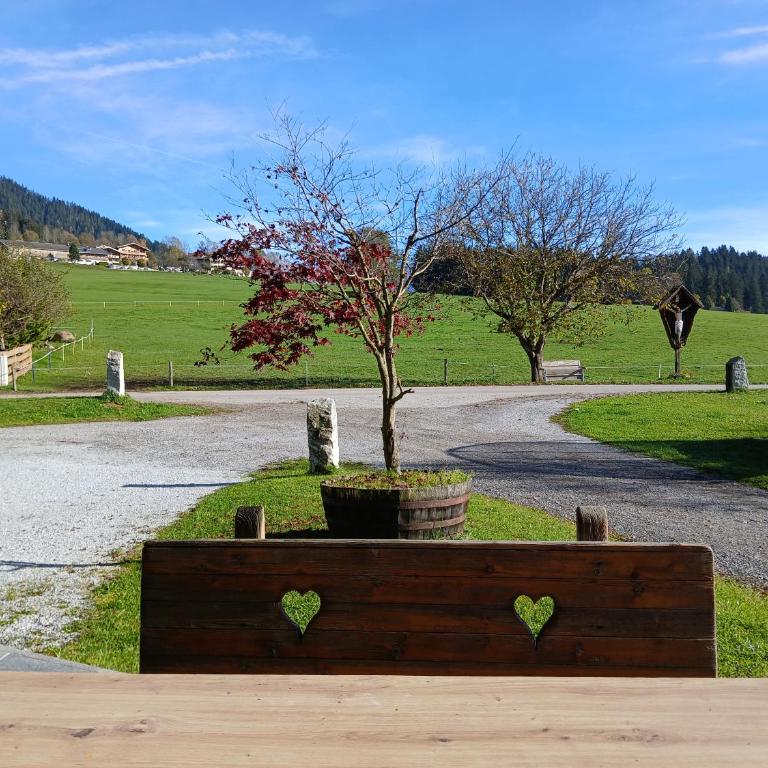 Exklusive 103 qm FEWO Salvenblick, gratis Skibus direkt ab Wohnung - Apartment with Terrace - 23