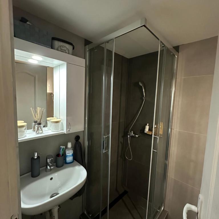 TRIANGLE CITY Apartment 1 - Apartman sa 1 Spavaćom Sobom - 23