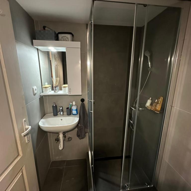 TRIANGLE CITY Apartment 1 - Apartman sa 1 Spavaćom Sobom - 25