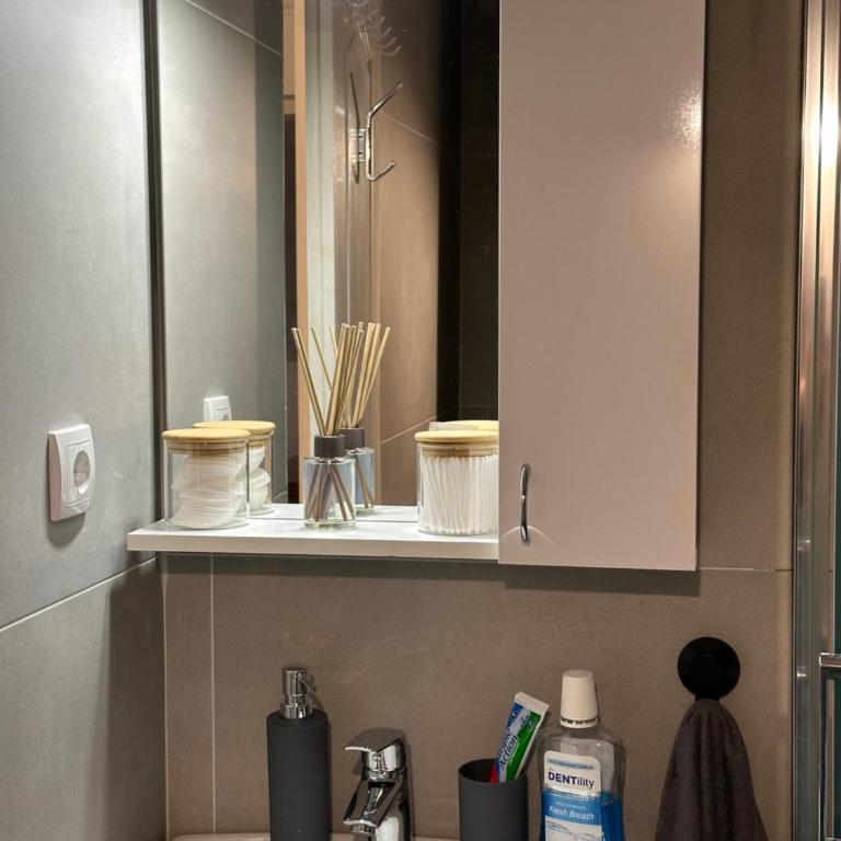 TRIANGLE CITY Apartment 1 - Apartman sa 1 Spavaćom Sobom - 26