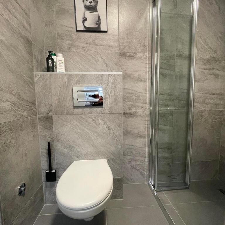 Joy apartment 7 Vracar 3 bedrooms 2 bathrooms - Apartman sa 3 Spavaće Sobe i Balkonom - 42