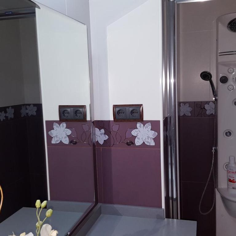 Hotel Meson de L’Ainsa - Apartamento de 3 dormitorios - Ático - 23