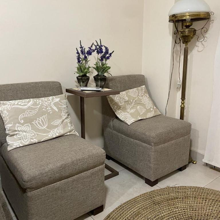 Ultra comfy en Barrio Norte- un dormi con lavarrop - Apartamento de 2 dormitorios - 20