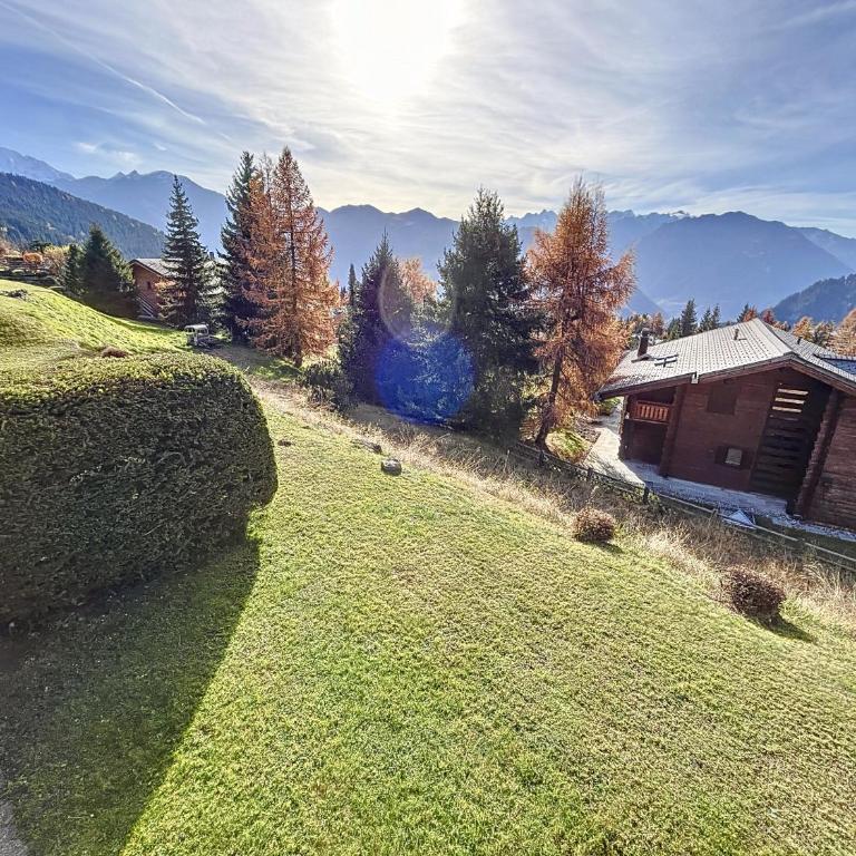 Crescendo 208 - Appartement - 21
