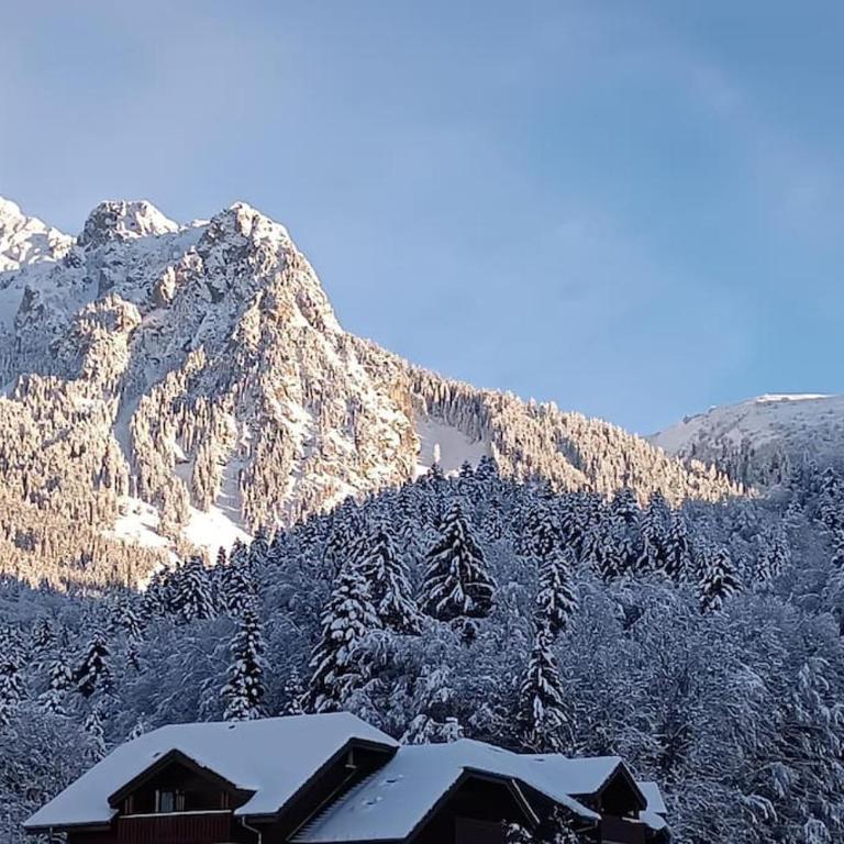 Au pied de de la Dent d'Oche, à 15 min d'Évian Appartement avec 1 chambre - Appartement 2 Chambres - 14