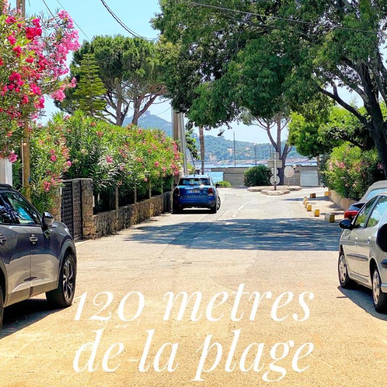 R1G-120 m plage-2 ch-jardin - Appartement 2 Chambres - 32