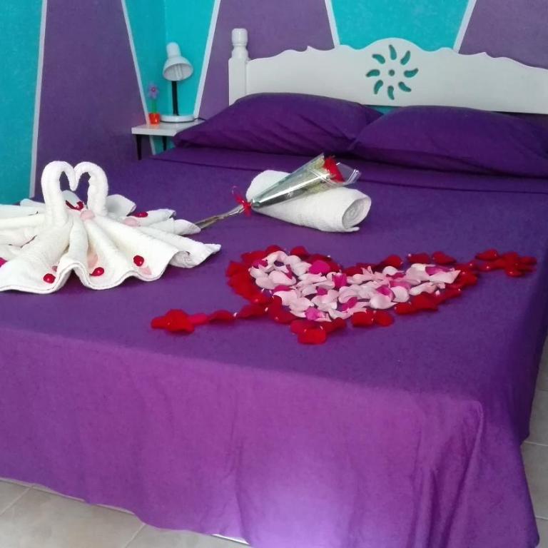 Appartamenti Melissa - Basic Double Room - 17