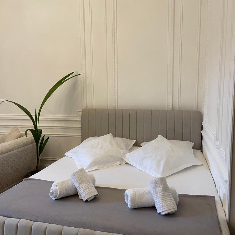 Appartement Belle Époque cœur de ville -AC- - Appartement 1 Chambre - 26