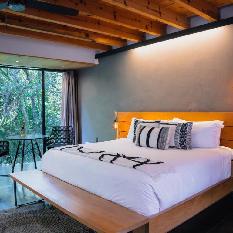 Casa Chichipicas Hotel Boutique - Suite Junior - 6