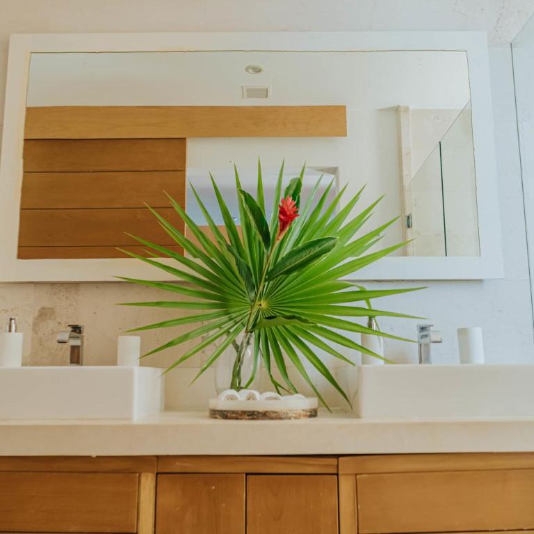 Full Floor Beachfront Luxury Apartment - Apartamento - 30