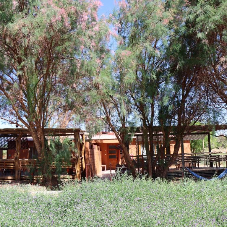 Peumayen Atacama cabaña&Hostal - Casa de campo con vista al jardín - 12