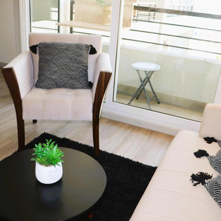 HOM I Encantador Depto 1D1B 2PAX en Santiago - Apartamento - 14