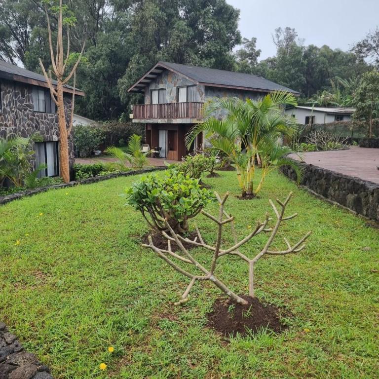 Hare Maea - Apartamento con vistas al jardín - 14