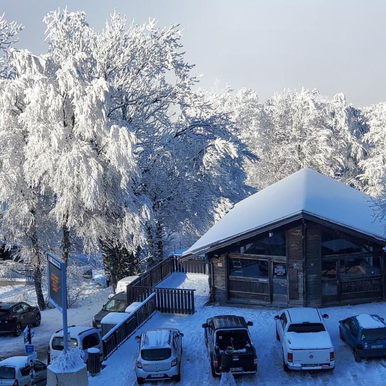 SUPERBE APPARTEMENT T2 3 ETOILES 40m2 PIED DES PISTES VUE SUR LE LAC - Appartement 1 Chambre - 3