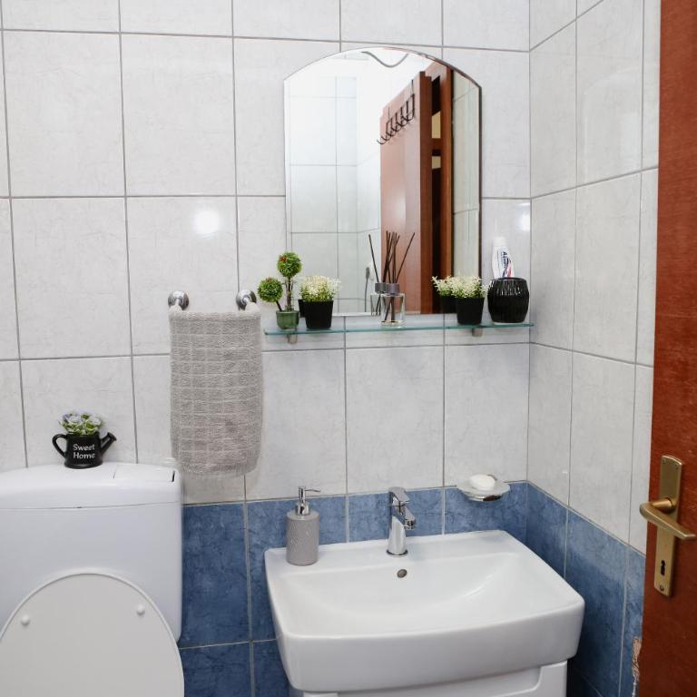 Iva Lux stan na dan - One-Bedroom Apartment - 20
