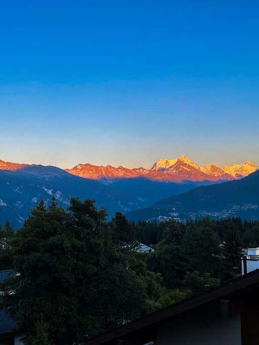 Magnifique appartement avec terrasse, vue et piscine - Apartment - 6