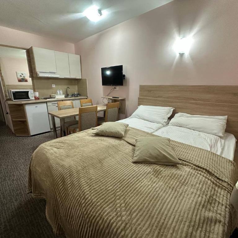 Apartments Konaci Kopaonik - Studio with Mountain View - 2