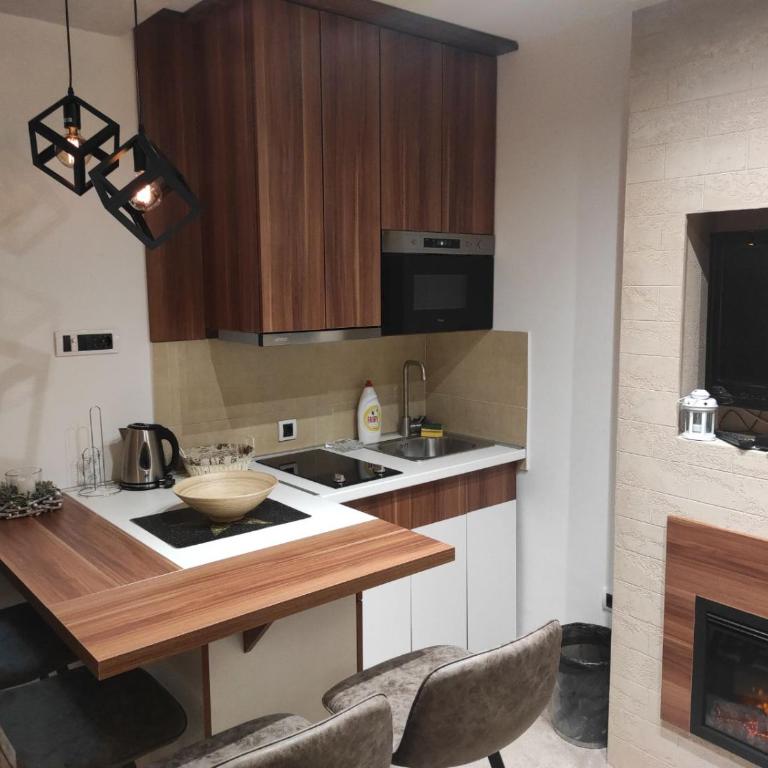 Apartmani Iva Kop Konaci - Apartman sa 1 Spavaćom Sobom - 10