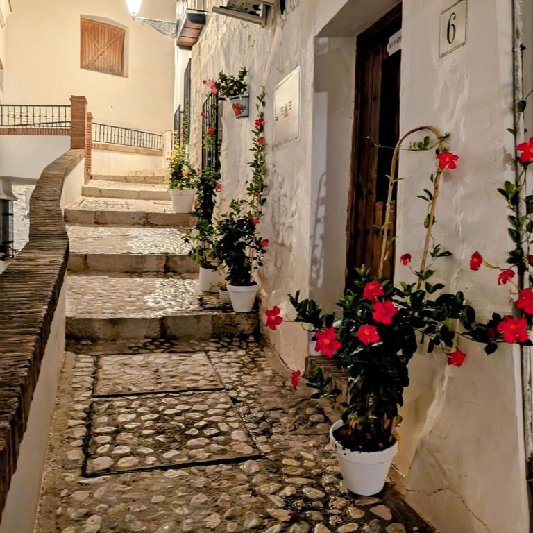Casita del Tejedor - Apartamento de 1 dormitorio - 19
