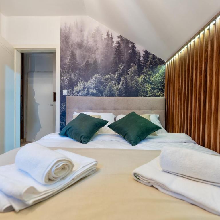 Apartman Vuk Zlatibor - Apartman sa 1 Spavaćom Sobom - 27