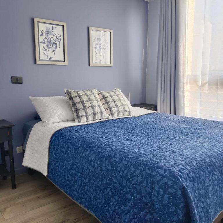 Uno y Dos dormitorios VIVIR EN SANTIAGO - Apartamento de 2 dormitorios - 1