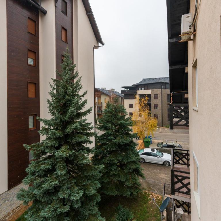 Apartman Vuk Zlatibor - Apartman sa 1 Spavaćom Sobom - 55