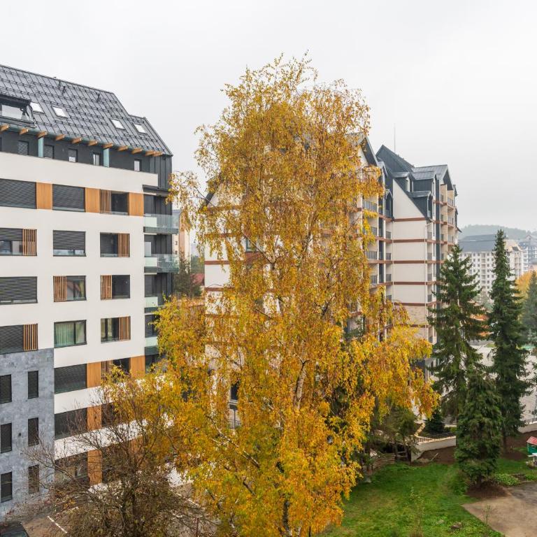 Apartman Vuk Zlatibor - Apartman sa 1 Spavaćom Sobom - 54