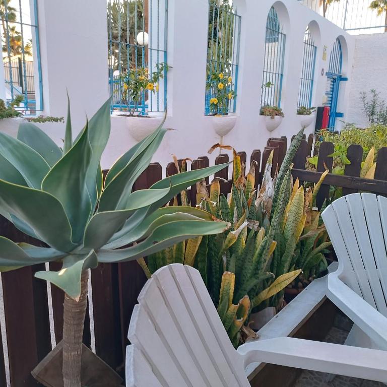 Amazing bungalow with wifi and terrace - Apartamento de 1 dormitorio - 23
