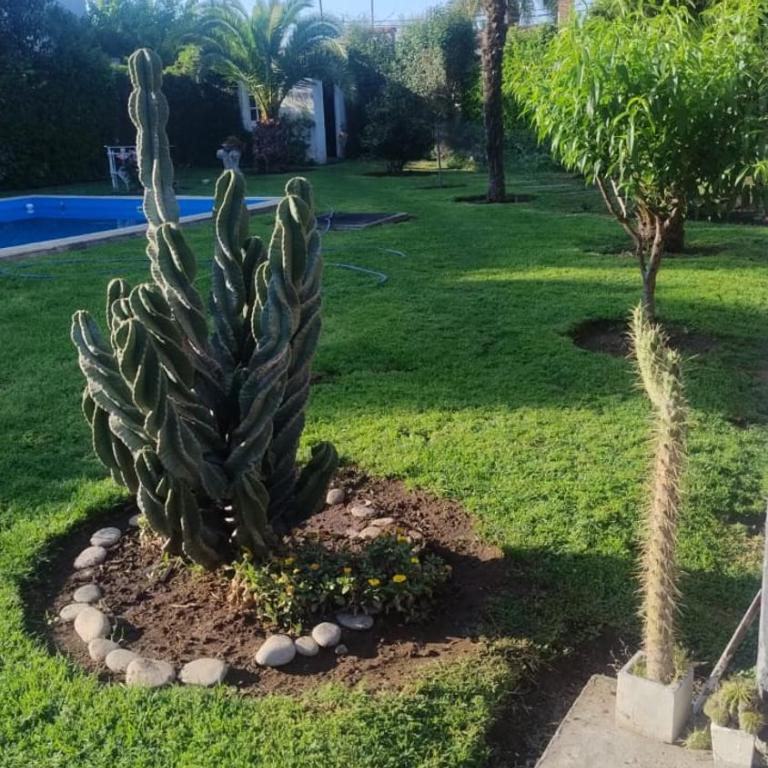 Las Camelias - Apartamento de 1 dormitorio - 24