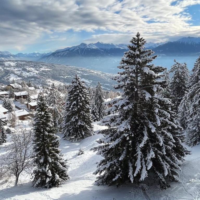 Grand Roc - Appartements & Studios - ANZERE - Deluxe Studio - 14
