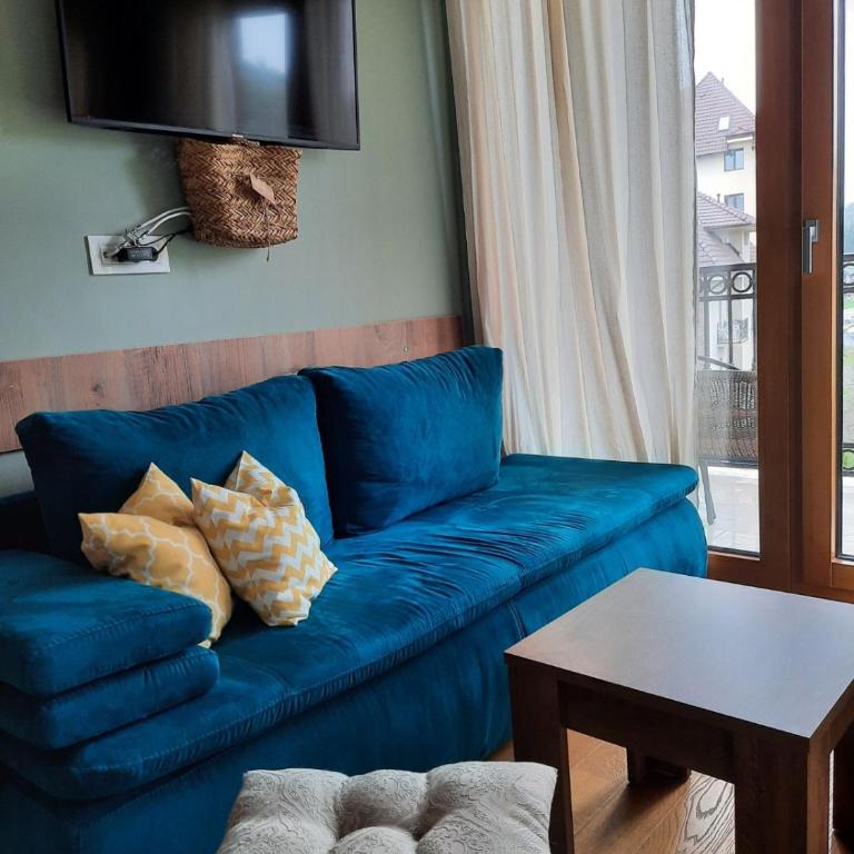 Studio apartman Paun Vila Elsa I Zlatibor - Studio Apartment - 5