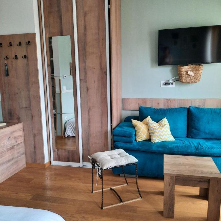 Studio apartman Paun Vila Elsa I Zlatibor - Studio Apartment - 7