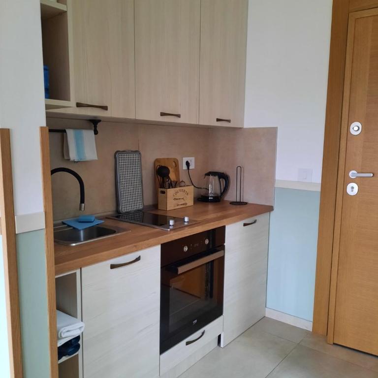 Studio apartman Paun Vila Elsa I Zlatibor - Studio Apartment - 11