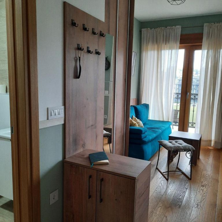 Studio apartman Paun Vila Elsa I Zlatibor - Studio Apartment - 1