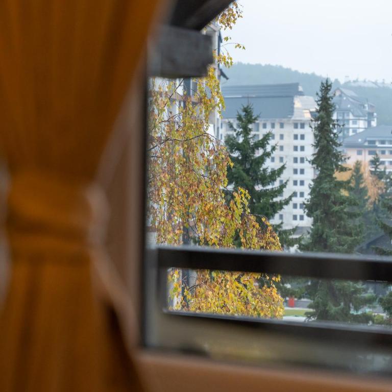 Apartman Vuk Zlatibor - Apartman sa 1 Spavaćom Sobom - 31