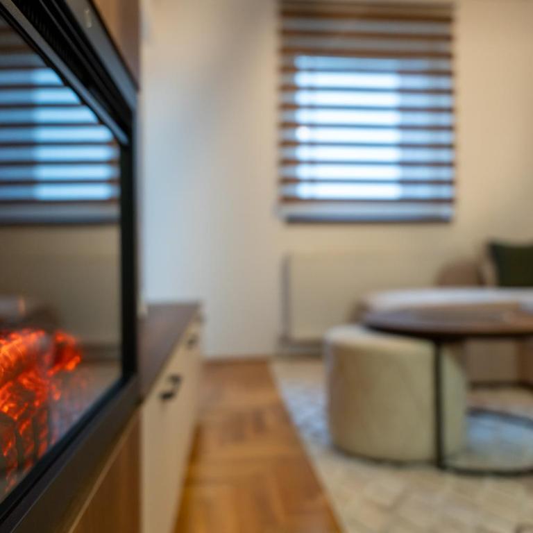 Apartman Vuk Zlatibor - Apartman sa 1 Spavaćom Sobom - 6