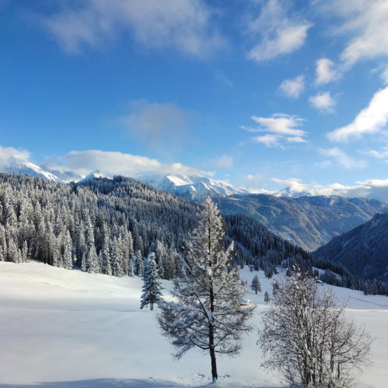 Hög Alm Serfaus - Apartamento de 2 dormitorios - 5