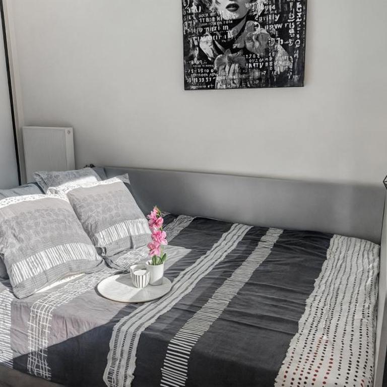 Centre de Dunkerque, Appartement RDC, 2 personnes, parking privé - Apartment - Erdgeschoss - 26