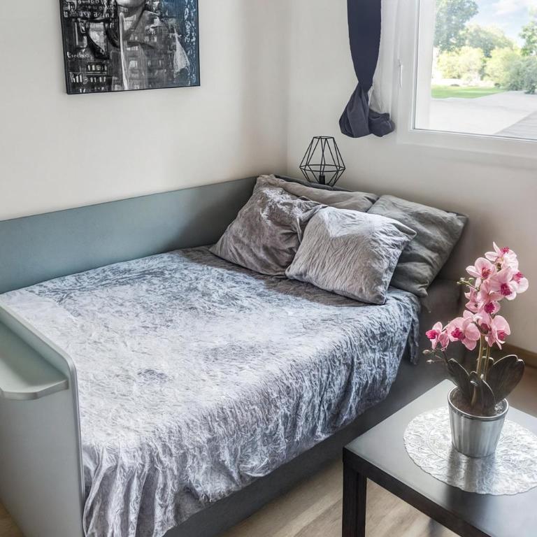 Centre de Dunkerque, Appartement RDC, 2 personnes, parking privé - Apartment - Erdgeschoss - 22