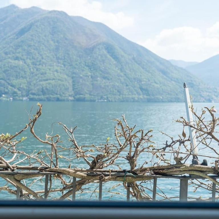 Storica Villa sul Lago di Como con darsena privata - Appartamento - 39