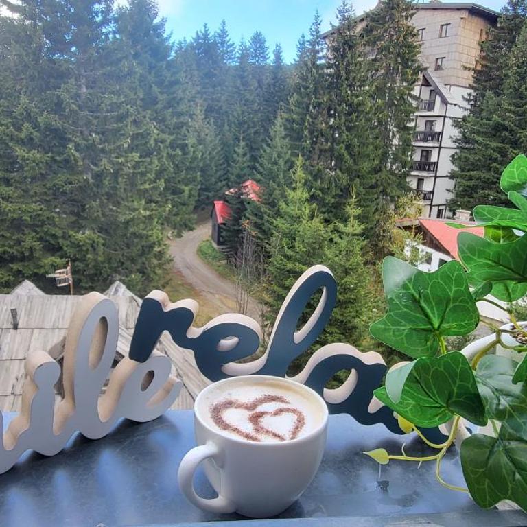 Vila Montana, Kopaonik, Apartman Ivony - Porodični Apartman s 1 Spavaćom Sobom - 16