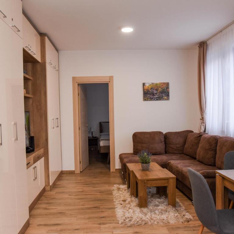 Vila Montana, Kopaonik, Apartman Ivony - Porodični Apartman s 1 Spavaćom Sobom - 38