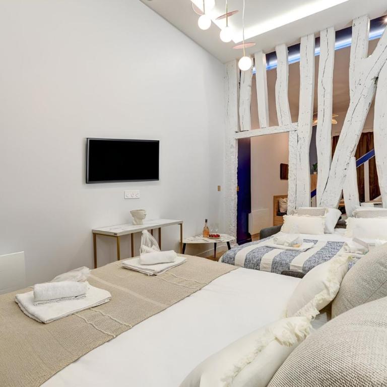 306 Suite Tigre - Superbe Appartement à Paris - Appartement 2 Chambres - 12
