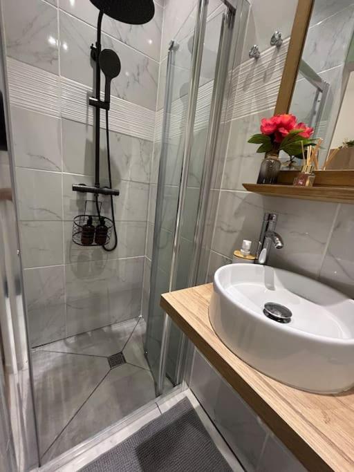 Studio confortable très proche du Centre de Nîmes - Appartamento con 1 Camera da Letto - 14
