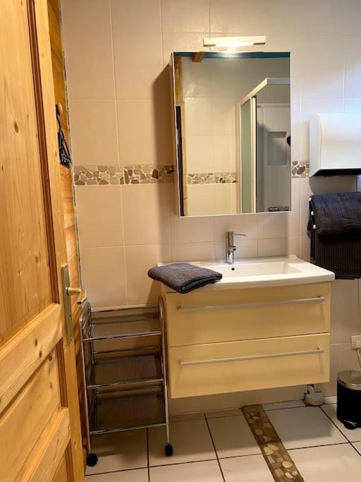 Appartement Etoile d'Argent, Fabulous Location, Garden, WIFI, Bike storage - Appartement 2 Chambres avec Vue sur la Montagne - 13