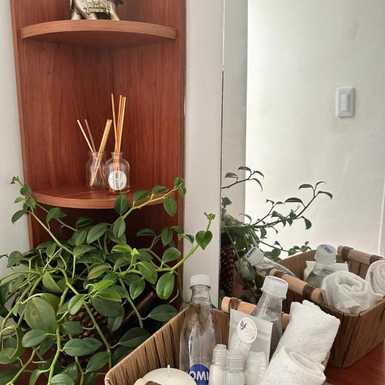 El Refugio del Colibrí - Habitación Doble con baño privado - 6