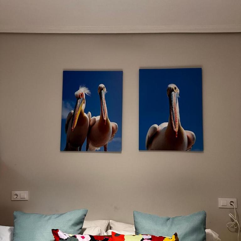 Akelarre - Two-Bedroom Apartment - 12