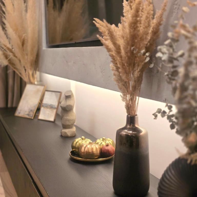 Premium Simfonija Apartment - Apartman sa 2 Spavaće Sobe - 5